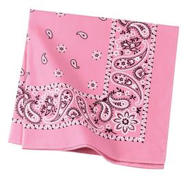 Bright Pink Paisley
