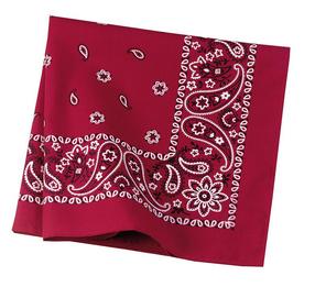 Engine Red Paisley