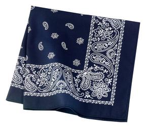 Navy Paisley